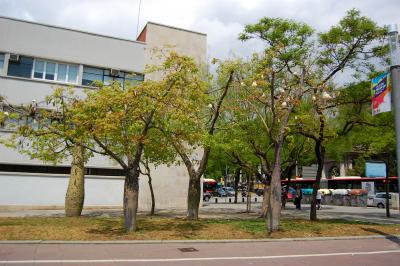 Прикрепленное изображение: 0605r.jpg